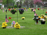 memorial-gardens