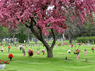 memorial-gardens
