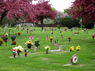 memorial-gardens
